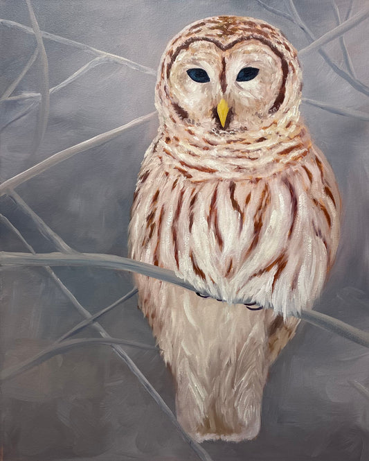 "Snowy Owl" Original Oil Painting