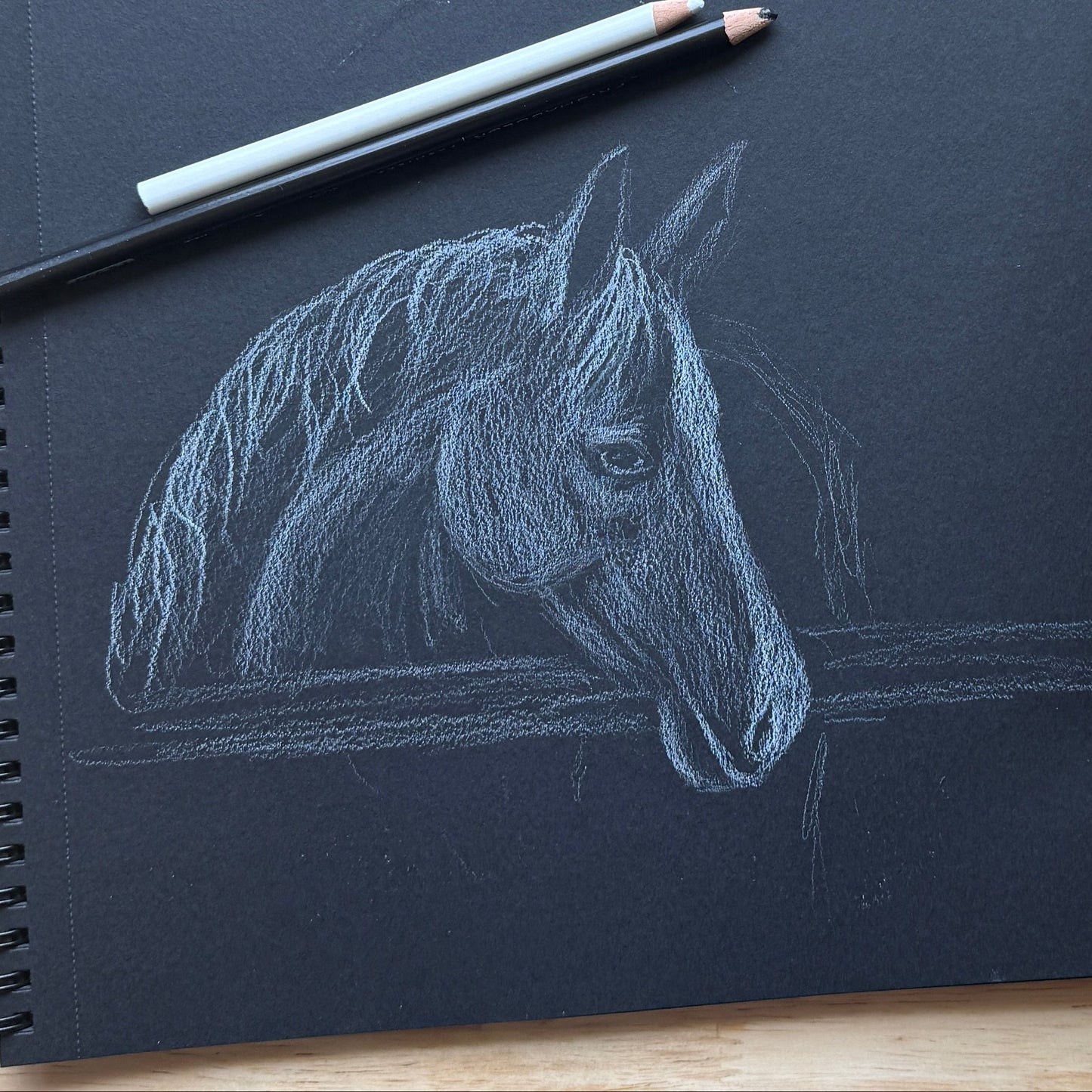 "Peek Over The Fence" Original Colored Pencil Sketch (Copy)