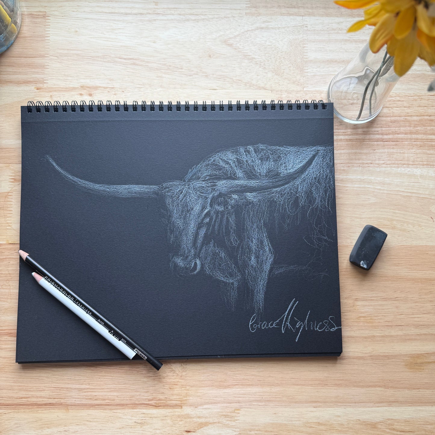 "Texas Longhorn" Original Colored Pencil Sketch