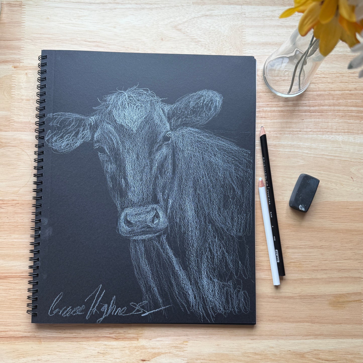 "Curious Cow" Original Colored Pencil Sketch