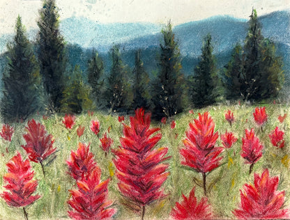 "Paintbrush Flower Field" Original Pastel Drawing